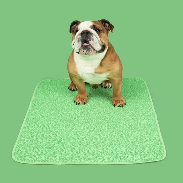 Reusable, Leak-Proof Training Pad for Pets