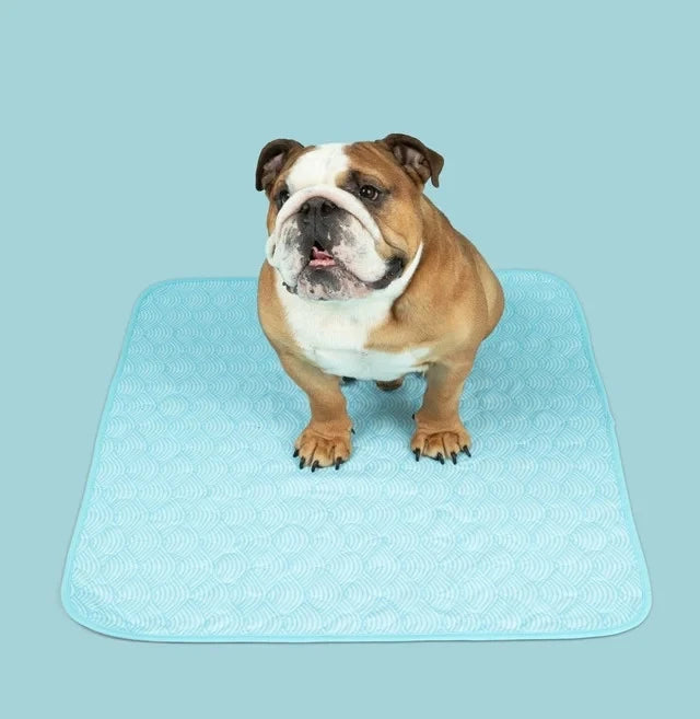 Reusable, Leak-Proof Training Pad for Pets