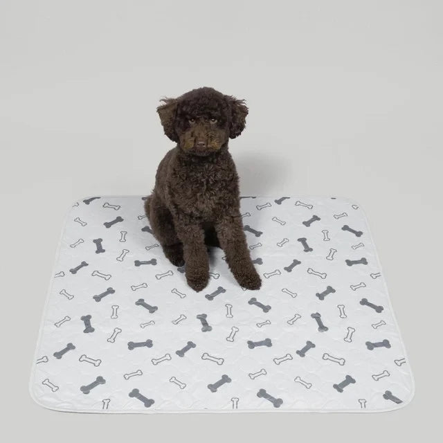 Reusable, Leak-Proof Training Pad for Pets