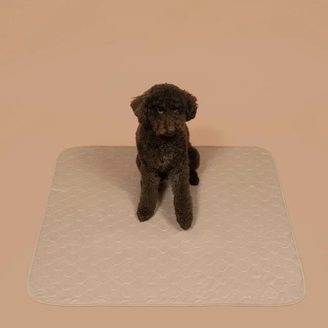 Reusable, Leak-Proof Training Pad for Pets
