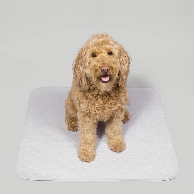Reusable, Leak-Proof Training Pad for Pets