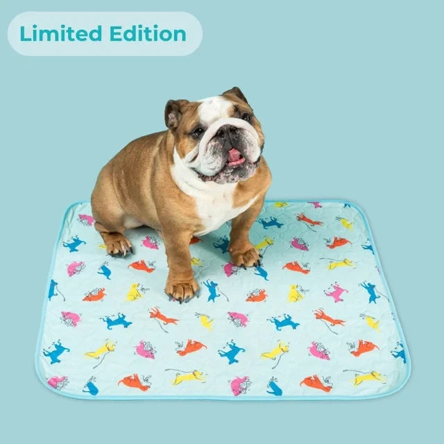 Reusable, Leak-Proof Training Pad for Pets