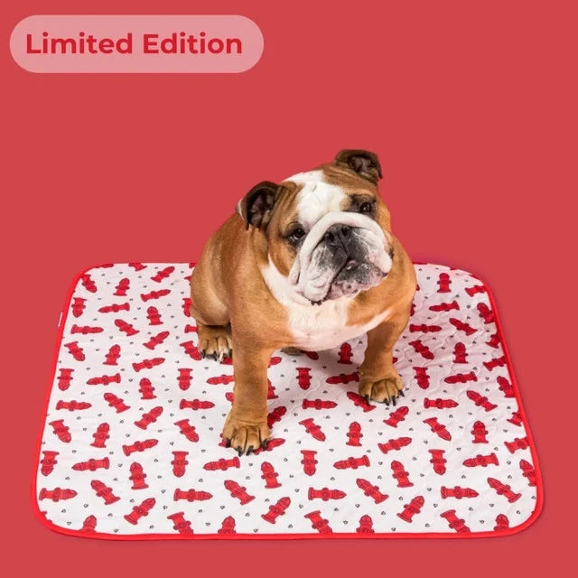 Reusable, Leak-Proof Training Pad for Pets