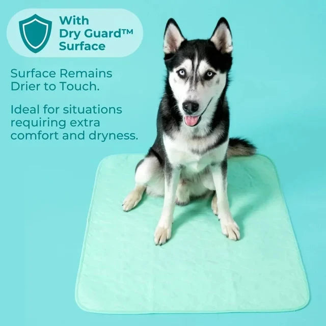 Reusable, Leak-Proof Training Pad for Pets