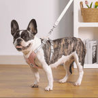 X-Shape Pet Harness Vest