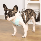 X-Shape Pet Harness Vest