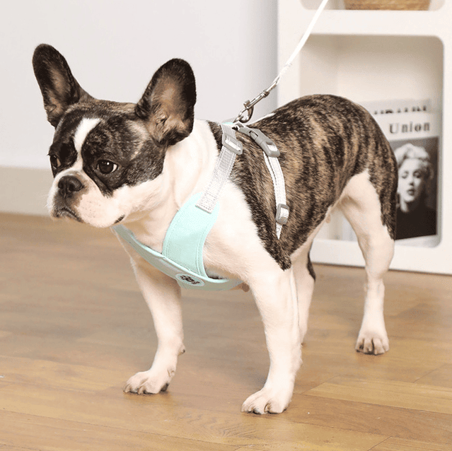 X-Shape Pet Harness Vest