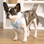 X-Shape Pet Harness Vest
