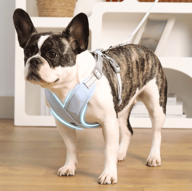 X-Shape Pet Harness Vest