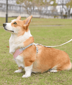 X-Shape Pet Harness Vest