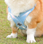 X-Shape Pet Harness Vest