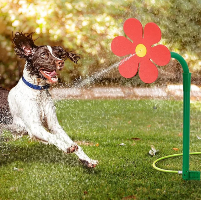 Spinning Water Sprinkler Toy for Dogs