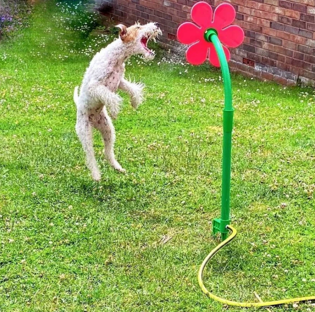 Spinning Water Sprinkler Toy for Dogs