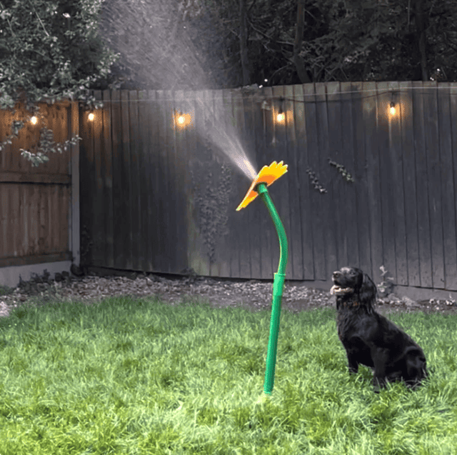 Spinning Water Sprinkler Toy for Dogs