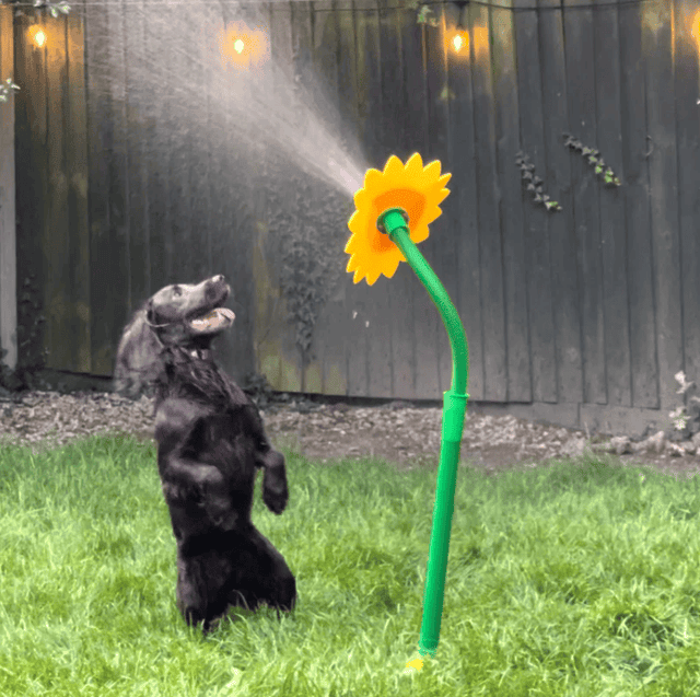 Spinning Water Sprinkler Toy for Dogs
