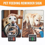 Pet Feeding Tracking Chart