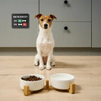 Pet Feeding Tracking Chart