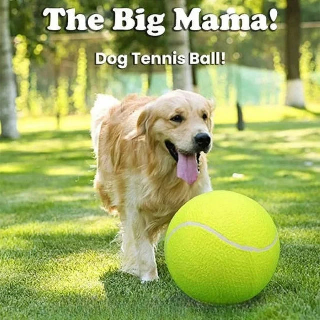 Dog Tennis Ball