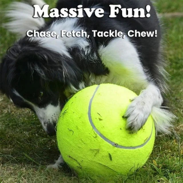 Dog Tennis Ball