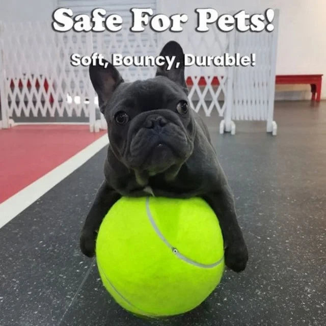 Dog Tennis Ball