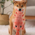 Floppy Lobster Interactive Dog Toys??