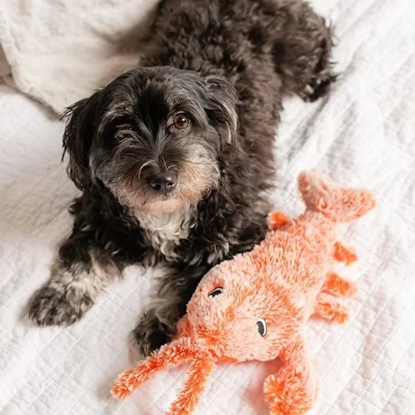 Floppy Lobster Interactive Dog Toys??