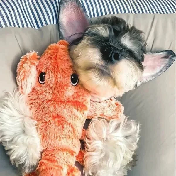 Floppy Lobster Interactive Dog Toys??