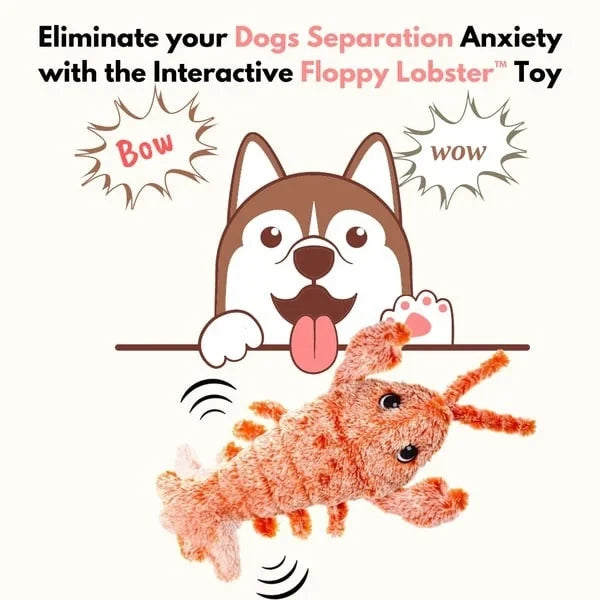 Floppy Lobster Interactive Dog Toys??