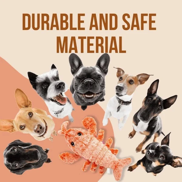 Floppy Lobster Interactive Dog Toys??