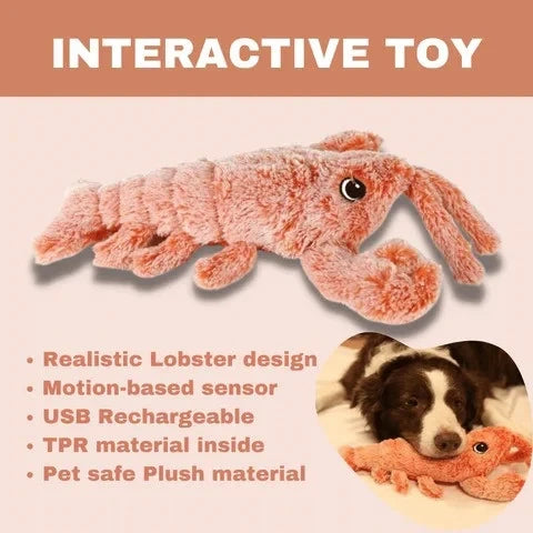 Floppy Lobster Interactive Dog Toys??