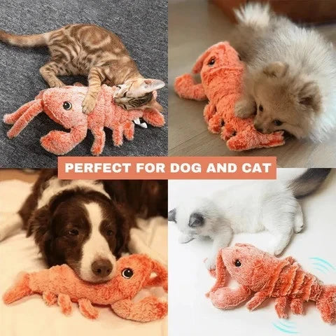 Floppy Lobster Interactive Dog Toys??