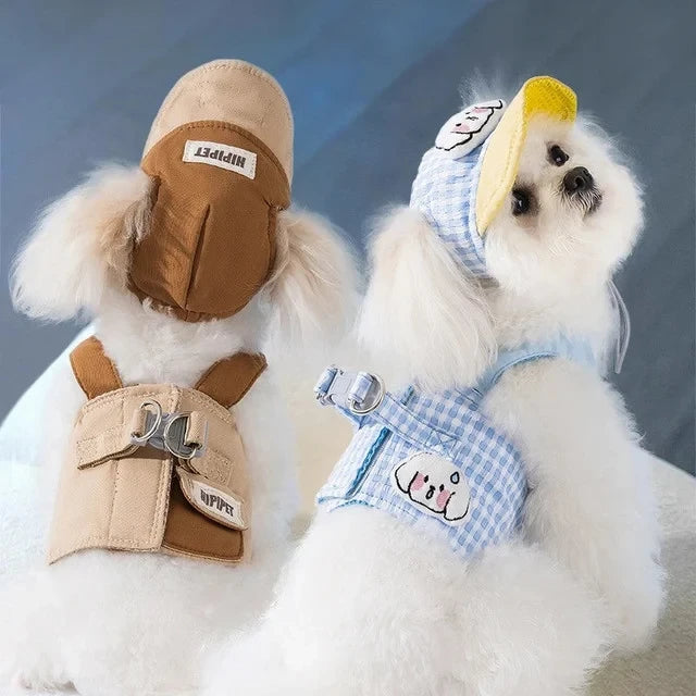 Cozy Viral Lounge Set
