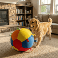The Giant Ball Causes a Sensation