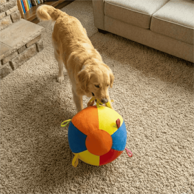 The Giant Ball Causes a Sensation