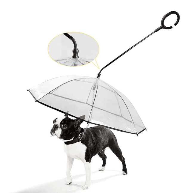 Clear Shield Pet Umbrella