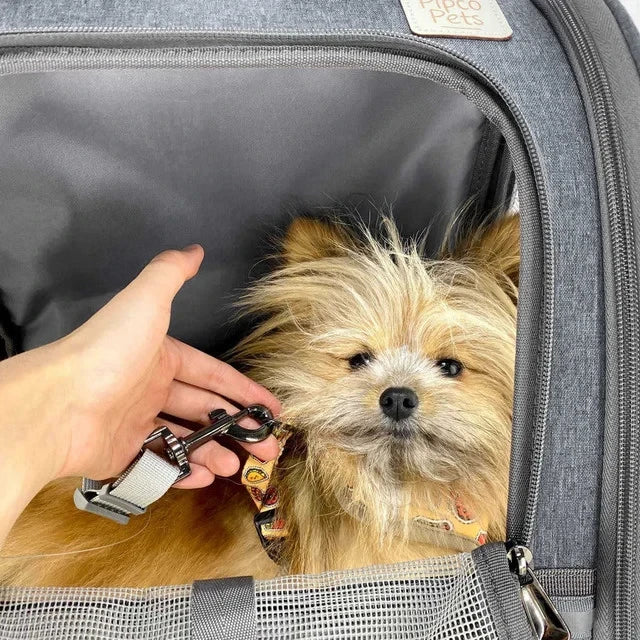 Pet Backpack Carrier