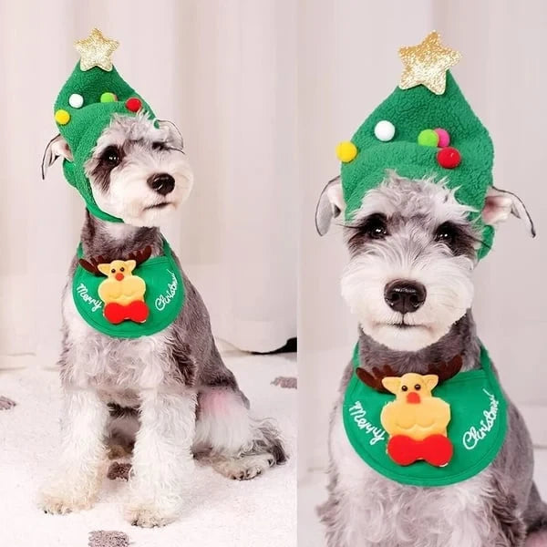 Christmas Tree Pom-Pom Hat
