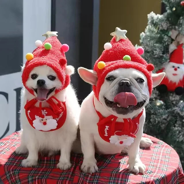Christmas Tree Pom-Pom Hat
