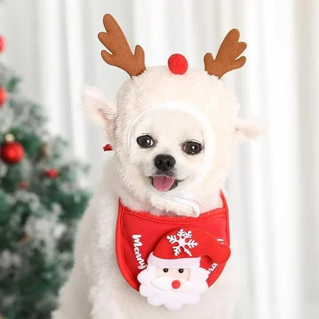 Christmas Tree Pom-Pom Hat