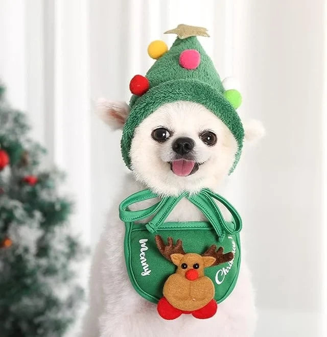 Christmas Tree Pom-Pom Hat