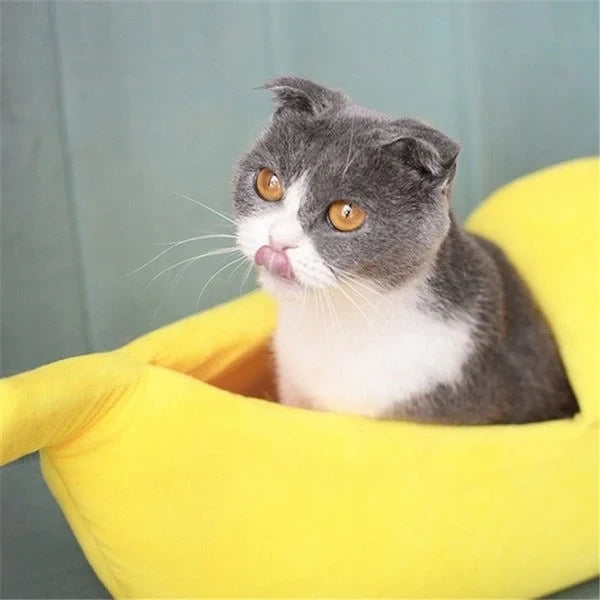 Banana Cat Bed