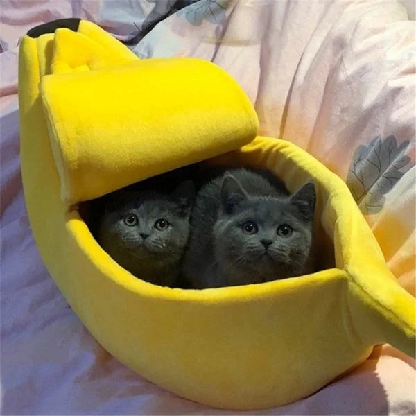 Banana Cat Bed