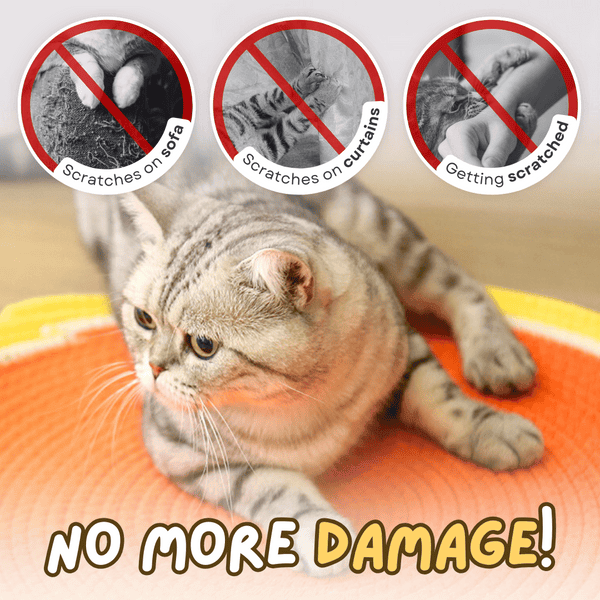 Cat Scratch Dual Pad