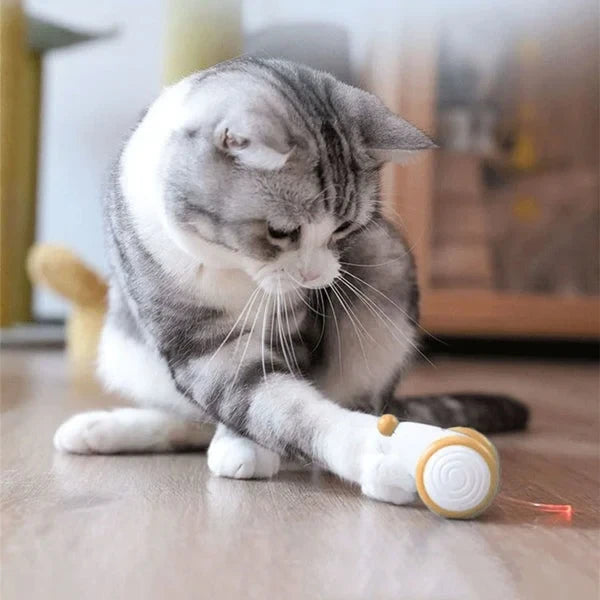 Smart Mouse Cat Toy