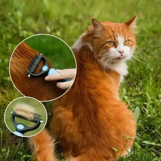 Purrfect Brush Duo