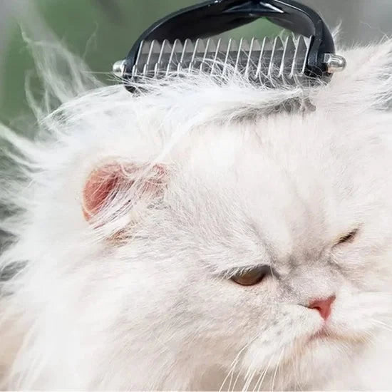 Purrfect Brush Duo