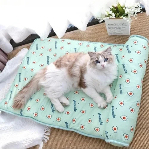 Paw Well Mat