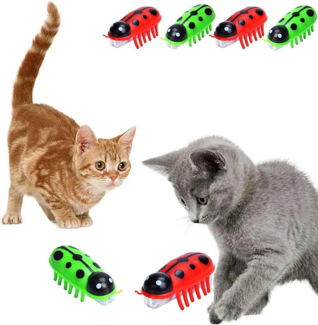 Electronic Interactive Cat Toy for Indoor Cats