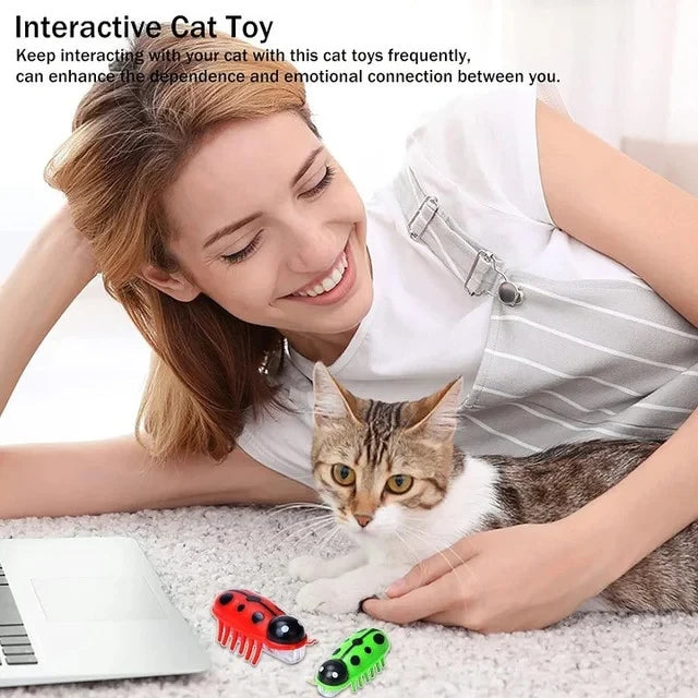 Electronic Interactive Cat Toy for Indoor Cats
