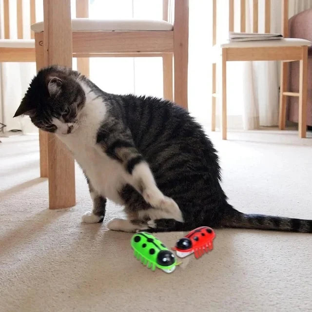 Electronic Interactive Cat Toy for Indoor Cats